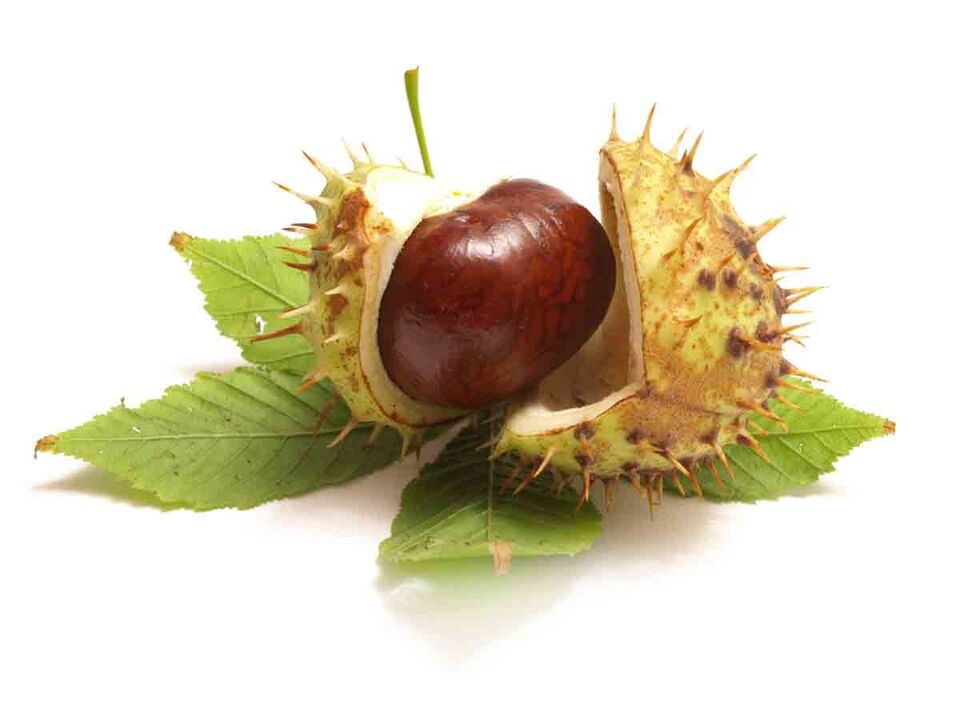The varicone cream contains a chestnut horse extract